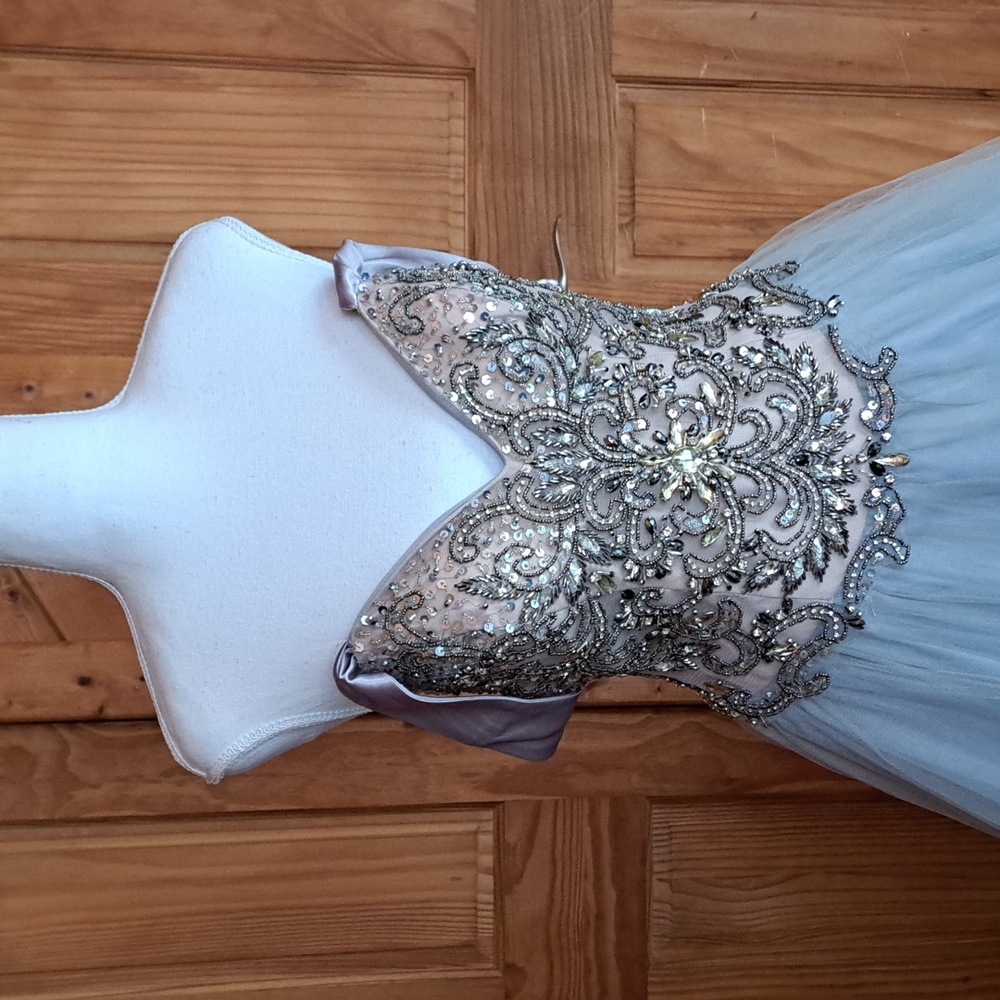 Terani Couture voluminous tulle evening formal gown crystals satin straps sz4-6 - Picture 11 of 16